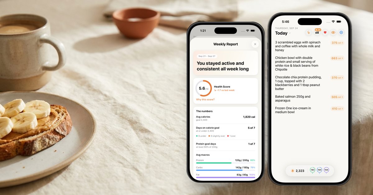 A Nouri weekly report and daily log on iPhone next to toast and coffee