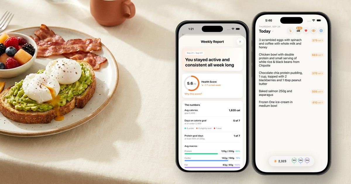 Nouri's weekly report and daily log on iPhone next to a breakfast plate